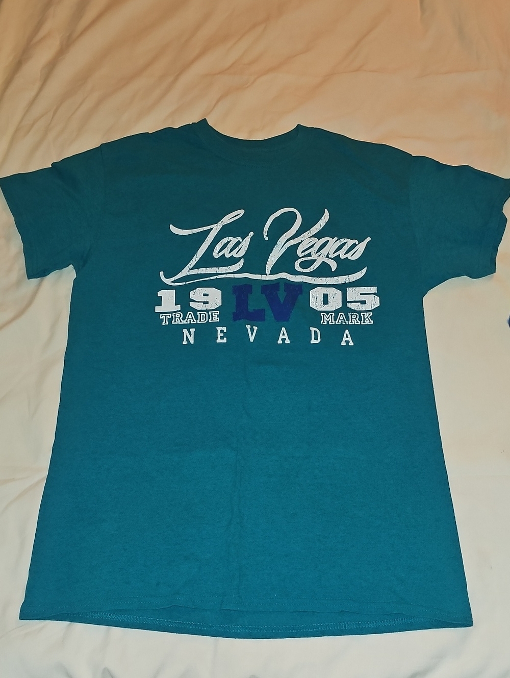 Gildan Teal Las Vegas Nevada Graphic Short Sleeve Tee